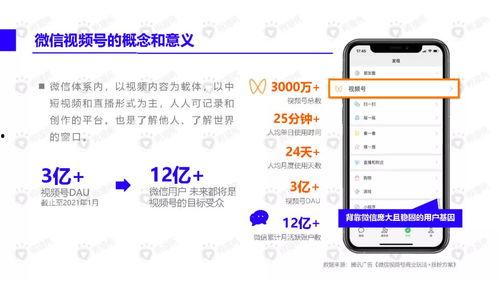 文玩大师爆料视频下载安装,下载安装全攻略 第3张 文玩大师爆料视频下载安装,下载安装全攻略 第3张