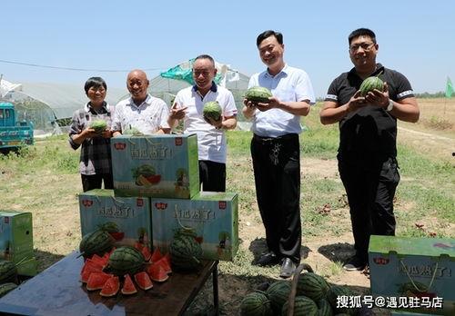 邳州网红吃小瓜事件始末,一场网络争议的发酵与反思  第2张