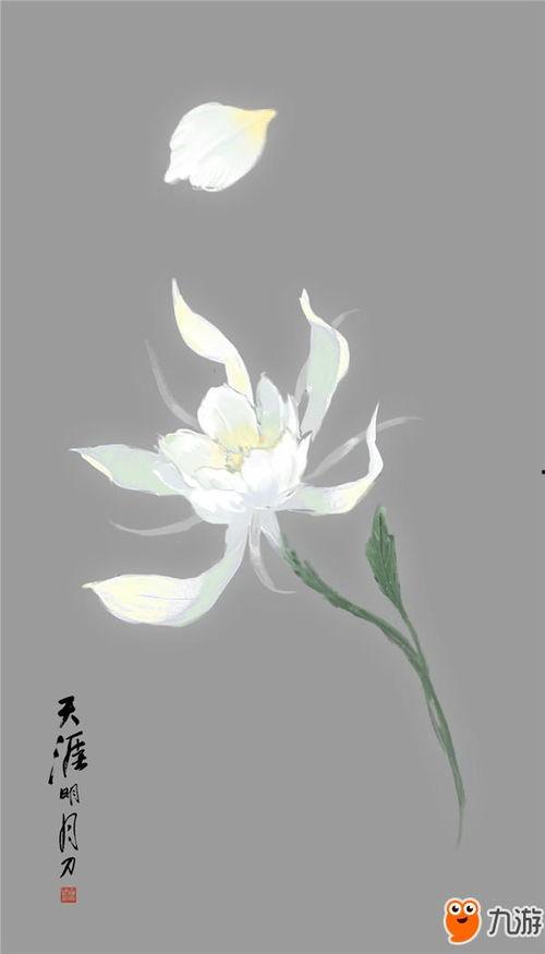 移花宫最新爆料,揭秘神秘爆料背后的真相  第2张