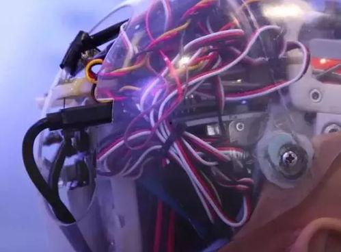 女机械人在线观看免费  第3张 女机械人在线观看免费  第3张