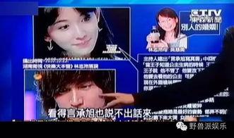 娱乐吃瓜蜀黍广告视频,揭秘娱乐圈幕后故事,带你领略明星幕后生活